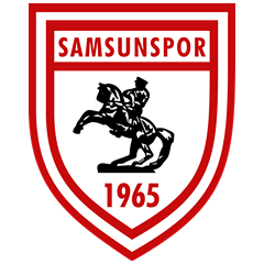 Самсунспор - гости